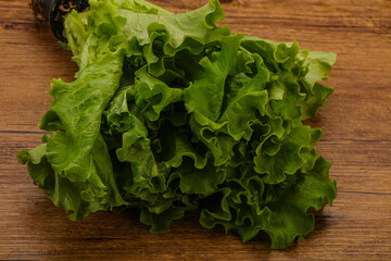 Green lettuce salad heap leaves