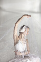 Young graceful balerina in image of white swan in art performance isolated on gray white background. © Lustre Art Group 