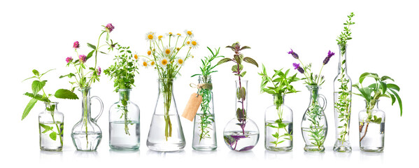 Bottles of essential oils with fresh herbs - obrazy, fototapety, plakaty