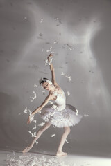 Young graceful balerina in image of white swan in art performance isolated on gray white background. © Lustre Art Group 
