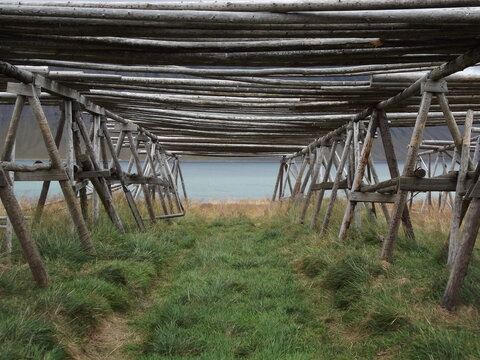 a drying rack for stockfish in island
