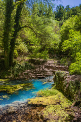Naklejka na ściany i meble The sulfur springs of Raiano, immersed in a forest and uncontaminated nature, in Abruzzo, Italy. Peace, relaxation, silence, health and well-being. Remains of ancient walls covered with vegetation.