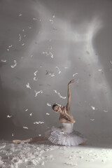 Young graceful balerina in image of white swan in art performance isolated on gray white background. © Lustre Art Group 