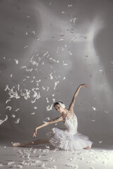 Young graceful balerina in image of white swan in art performance isolated on gray white background. © Lustre Art Group 