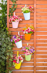 Fototapeta na wymiar Hanging Flower Pots with fence