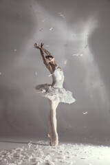 Young graceful balerina in image of white swan in art performance isolated on gray white background.