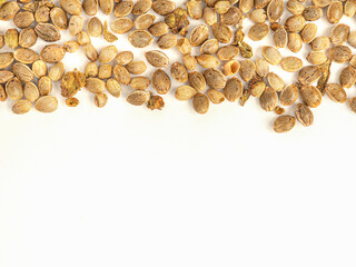 Cannabis seeds isolated on white background. Space for text
