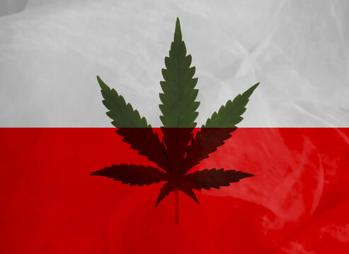 green leaf of cannabis and the national flag of Poland, the concept of medical cannabis, legalization