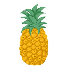 Hand-drawn yellow pineapple vector illustration. Farm organic ingredient for juice. Vegetarian diet  illustration. 