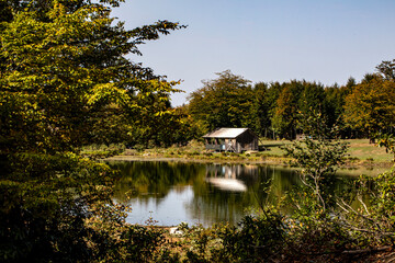 Fototapete bei efototapeten.de bestellen   