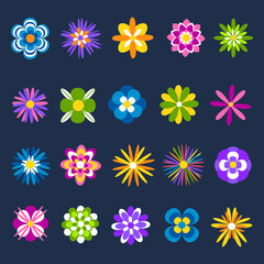 Beautiful romantic flower head collection