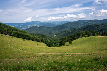 Fototapeta na wymiar The Hinterwaldkopf one of the most popular mountains of the black forest