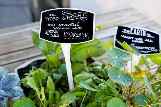Hand written signs in soil of organic garden plants