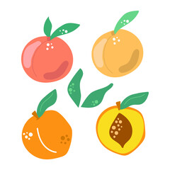 Set of peaches with leaves. Modern fruit illustration.