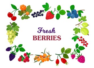 Organic summer berries and fruits with leaves frame