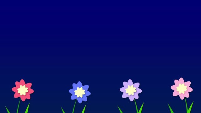 spring flowers border