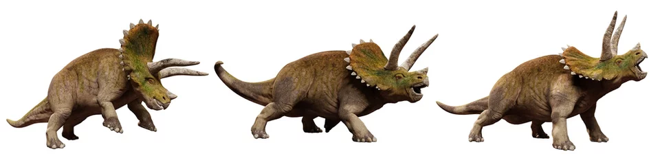 Wandcirkels plexiglas Triceratops horridus dinosaurs, set isolated on white background © dottedyeti