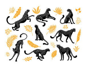 Cheetahs silhouettes collection. Vector illustration of stylized black cheetahs in various actions: lies, sitting, standing, walking, and running. Surrounded by tropical leaves. Isolated on white