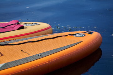 Paddle Boarding and Kayak Rentals on the Beach
