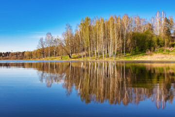 Fototapeta na wymiar Beautiful spring landscape. Reflection of the blue cloudless sky and trees in the calm water of a forest lake
