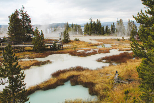 Yellowstone National Park