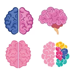 Poster brains icon set © Gstudio