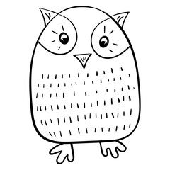 Owl. Bird of prey. Vector outline illustratation