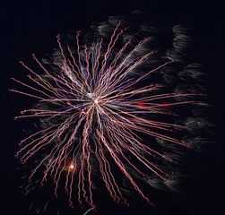 fireworks in the night sky