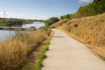 The pedestrian footpaths intersect in the park in summer in sunny weather