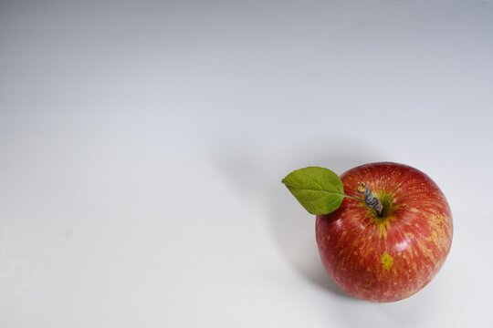 red apple with white background 