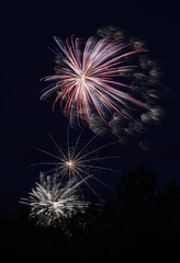 fireworks in the sky