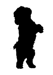 Bichon frise breed dog silhouette, Vector illustration silhouette of a dog on a white background.