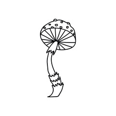 Single hand drawn amanita for autumn decoration. Doodle vector illustration. Isolated on a white background.