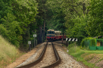 Obraz premium Diesel train near Sazava river in south of Prague in summer cloudy day
