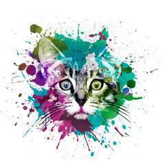 Naklejka premium cat in the rain
