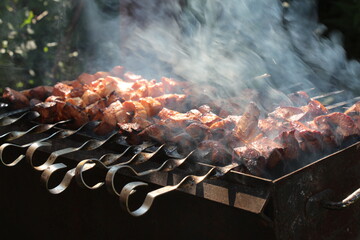 shish kebab on the barbecue