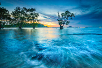 
Beautiful sunset with rocky fourgrounds and mangrove trees on the coast of Tanjung on the edge of...