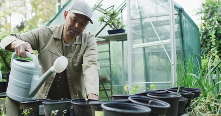 African american male gardener watering seedlings at garden center