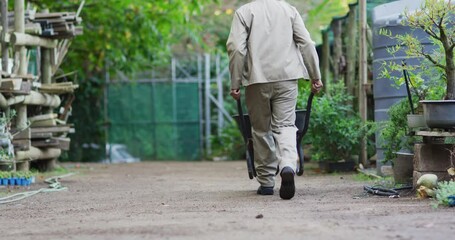 Back view of african american male gardener walking with wheelbarrow at garden center - Powered by Adobe