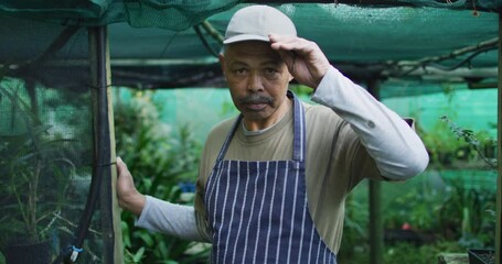 African american male gardener taking off cap and looking at camera at garden center