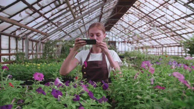 A young girl. worker greenhouse with flowers, takes pictures for site or blog products