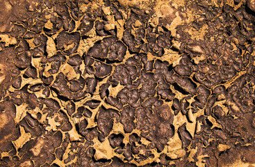 Dried cracked earth soil ground texture background. Mosaic pattern of sunny dried earth soil
