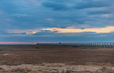 Along the Boardwalk