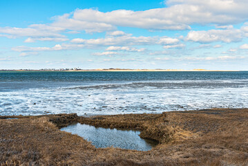 Tide Pool Barnstable Harbor