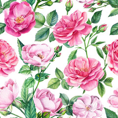 Pink roses. Floral background, seamless patterns, watercolor painting flowers 