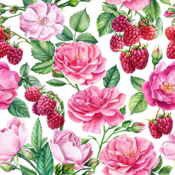 Flowers of roses and berries of raspberry. Floral seamless patterns, watercolor illustration