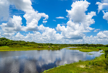Myakka River on a summer day with blue sky and white clouds in Myakka River State Park in Sarasota Florida USA