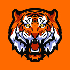 The tiger is the largest living cat species and a member of the genus Panthera.