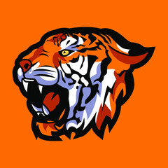 The tiger is the largest living cat species and a member of the genus Panthera.