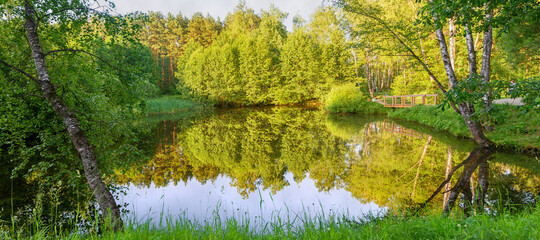 Moscow. June 19, 2021. Meshchersky Park. Beautiful forest with a pond in the evening.